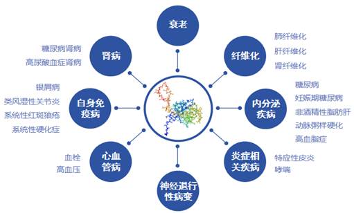 图示, 日程表描述已自动生成